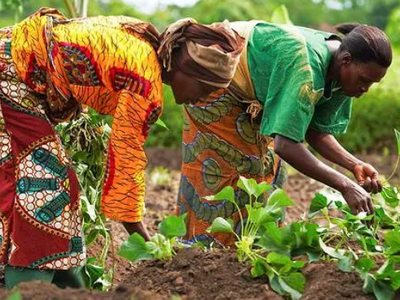 Agricultural