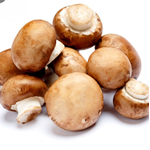 Mushrooms Farm