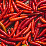 pepper