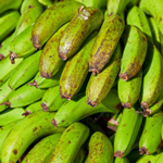 Plantain Farm