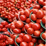 tomato